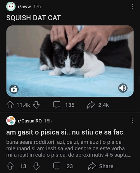r/casualro|TrueCasualRO .